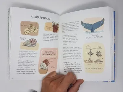 menu, envelope, web_site