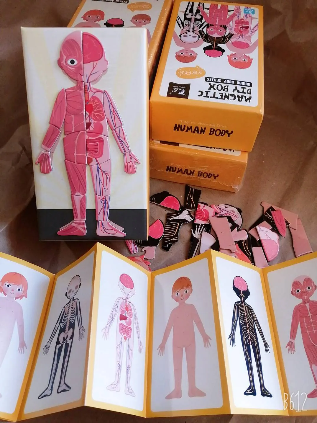 packet, carton, tray