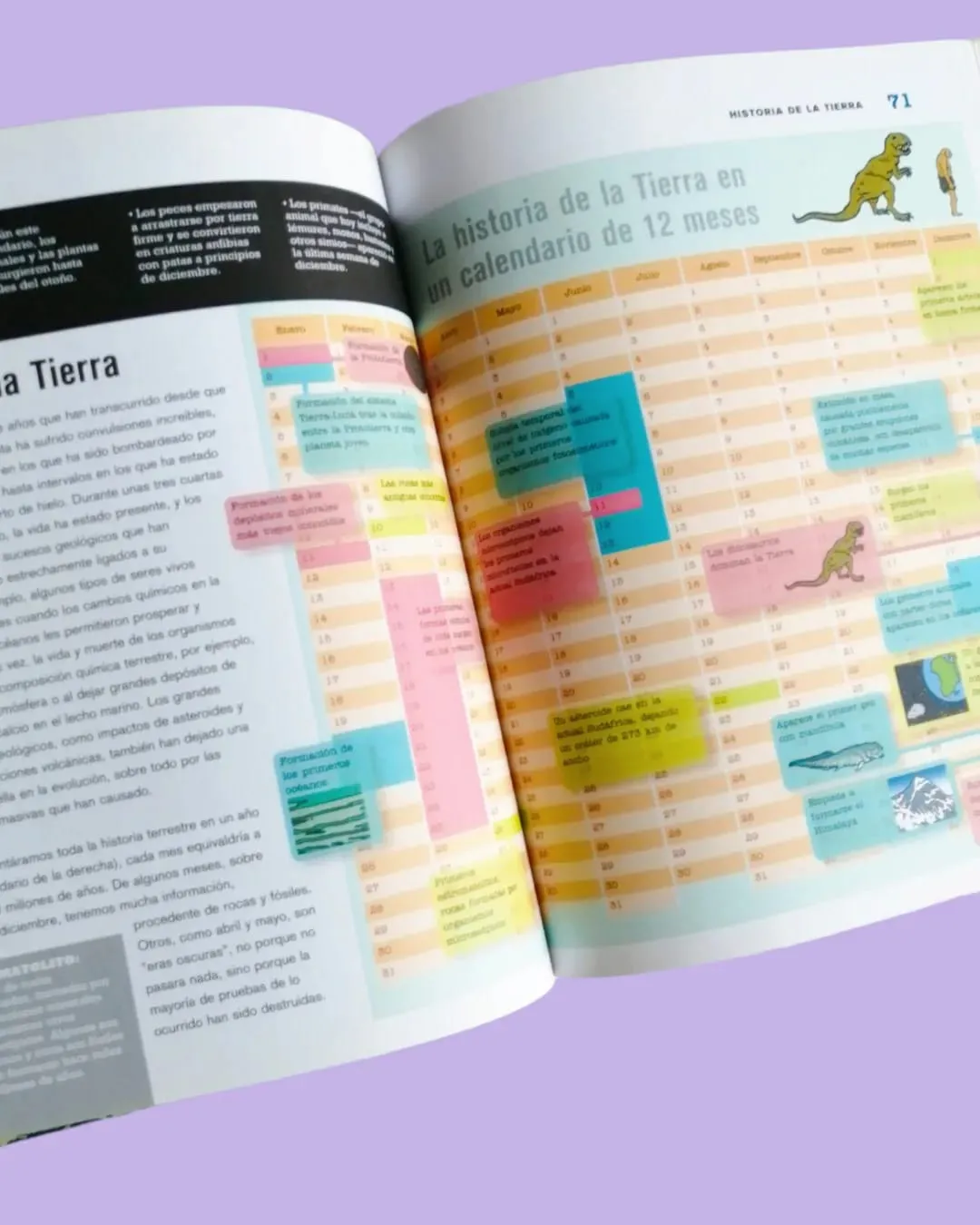 toilet_tissue, carton, paper_towel