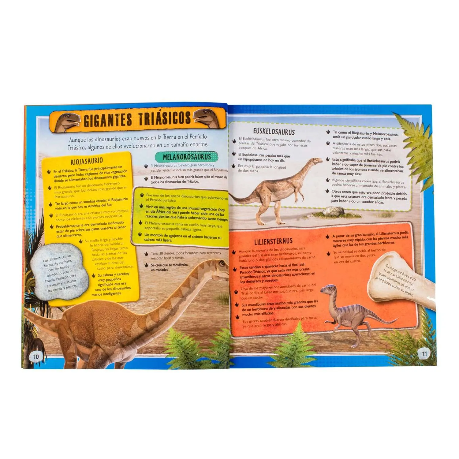 web_site, envelope, packet