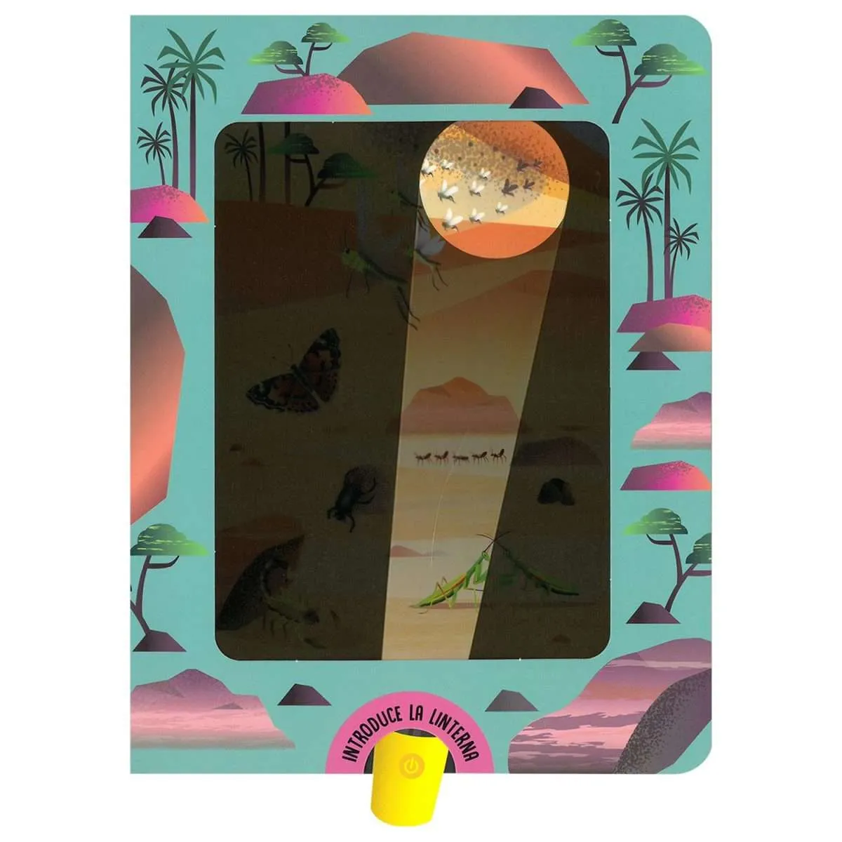 envelope, binder, carton