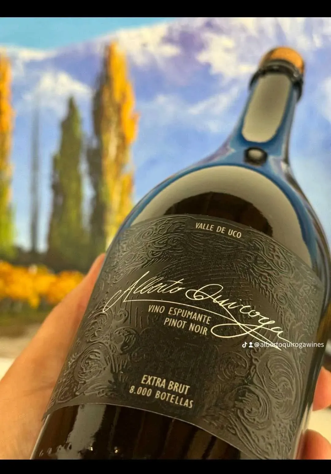 ✔️ AQ ESPUMOSO DE PINOT NOIR 6x750cm3