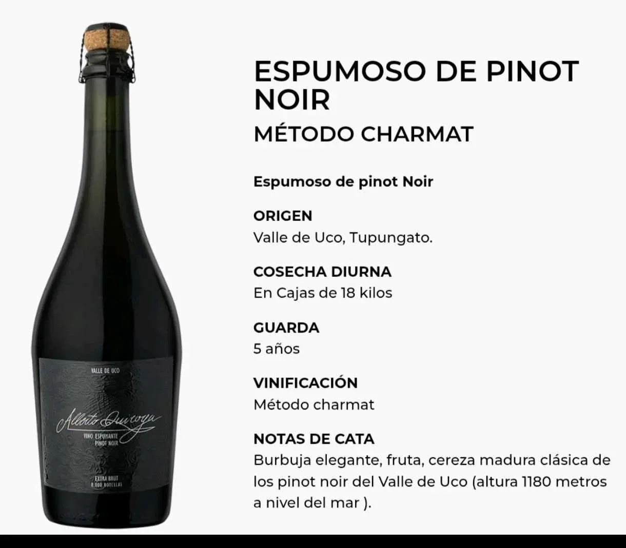 ✔️ AQ ESPUMOSO DE PINOT NOIR 6x750cm3