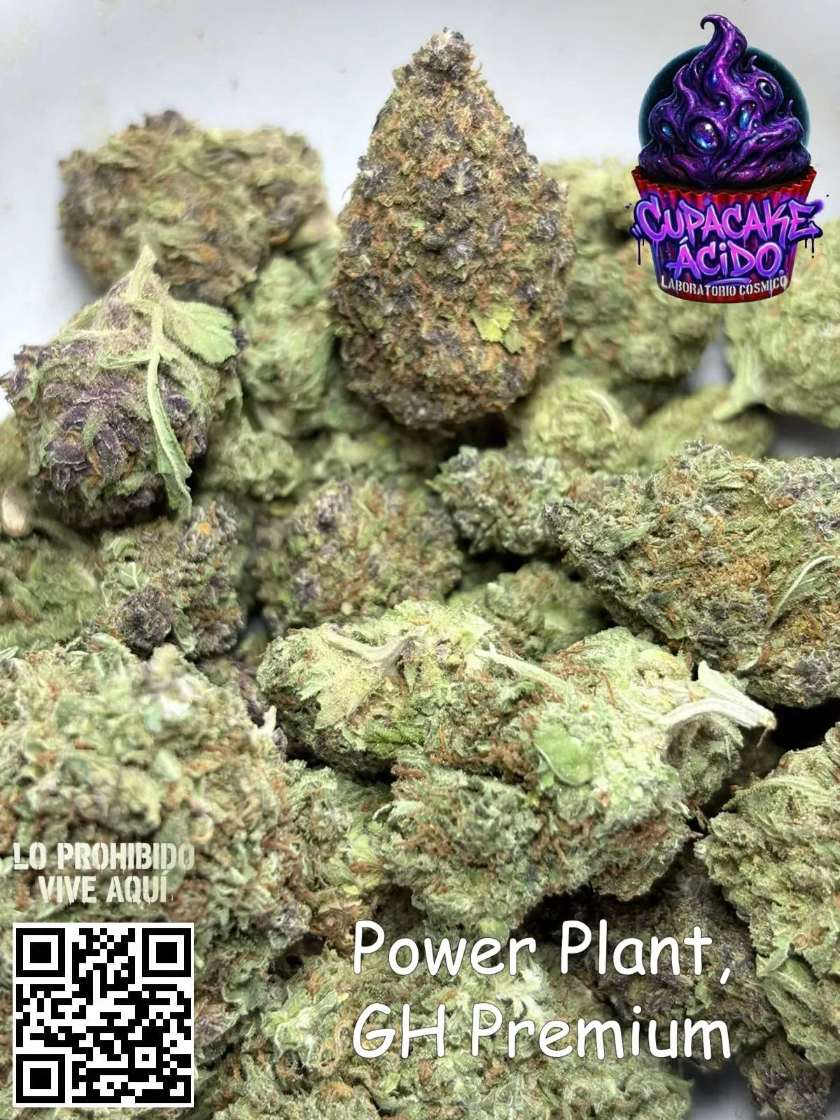 500 g Power Plant GH Premium – Energía clara pa’ mover el día sin perder el control