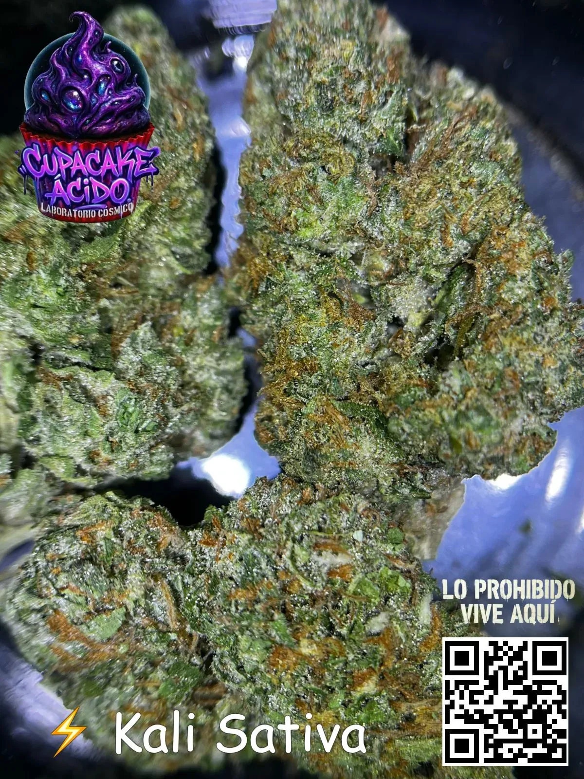 1 Oz Kali Sativa - La chispa que reinicia tu coco sin apagarte el alma