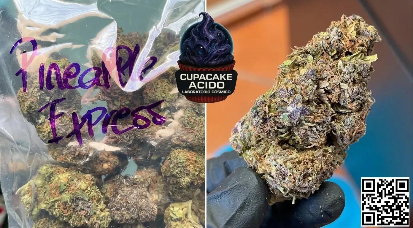 500 g Pineapple Express GH Premium – Media carga fresca y alegre