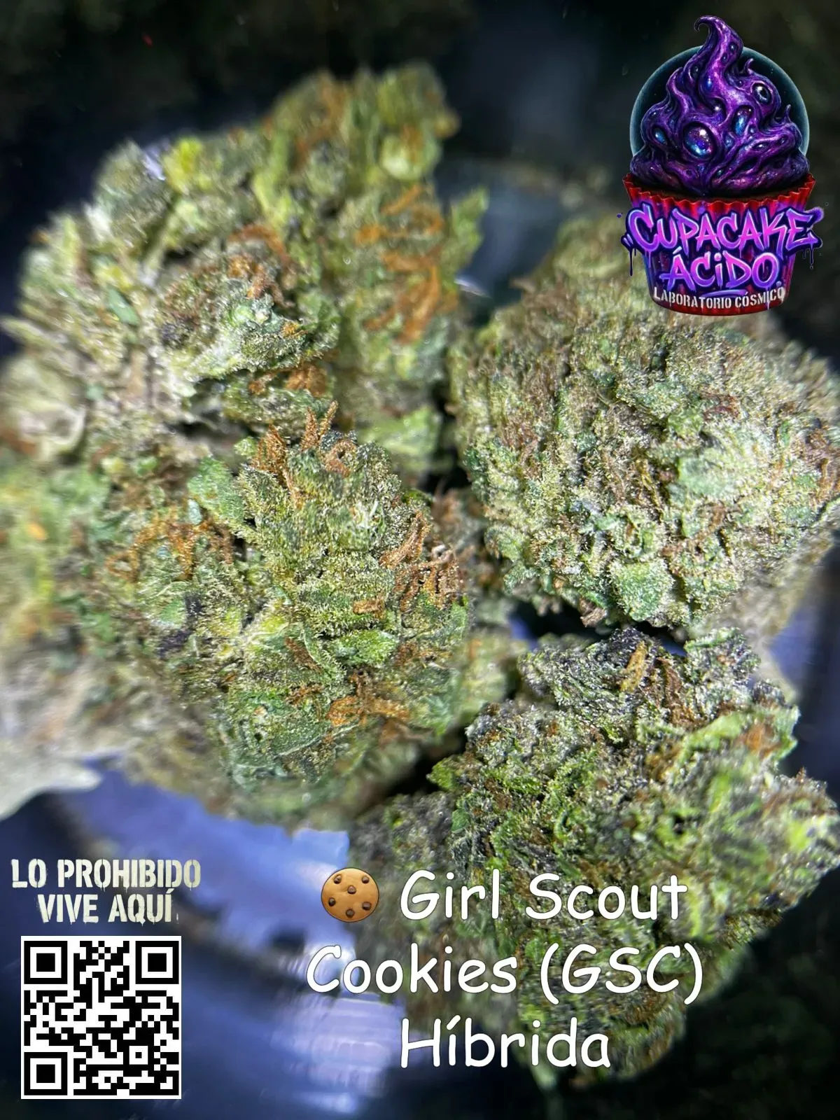 1 Oz Girl Scout Cookies (GSC) Híbrida S.D. - El postre que no necesitas… pero sí mereces