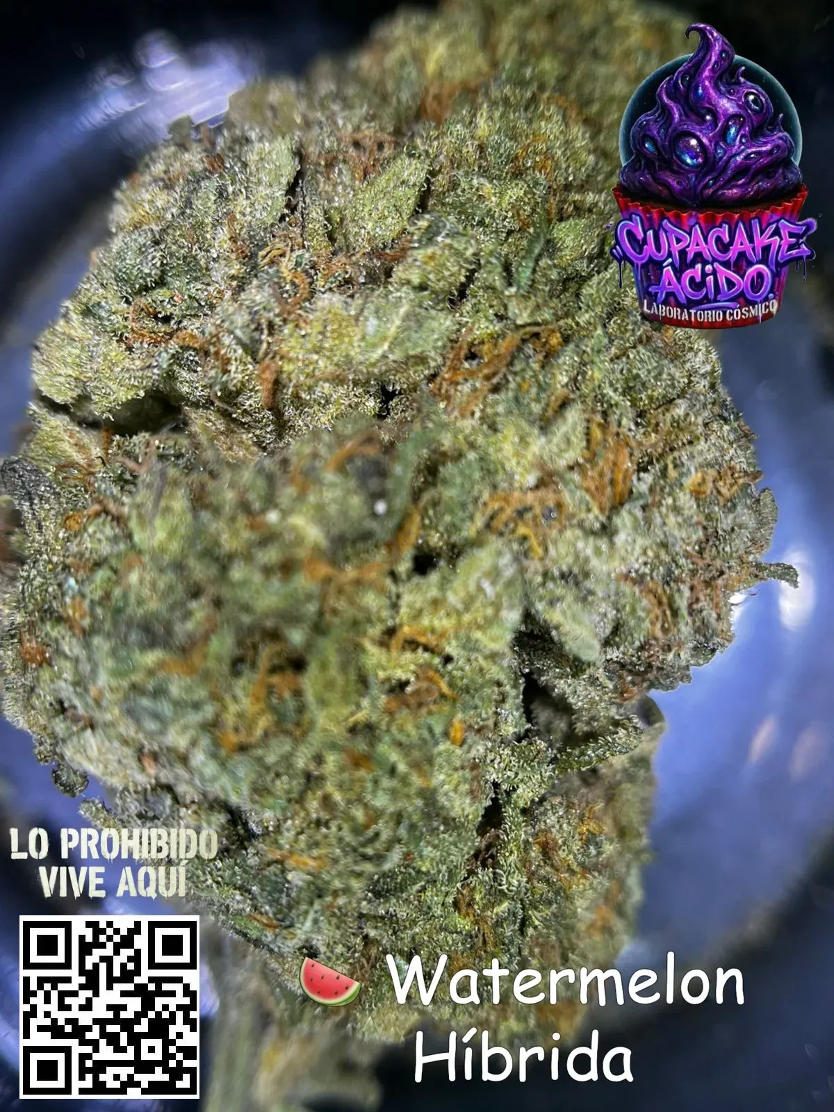 1 Oz Watermelon Híbrida - La que te derrite lento y te deja sonriendo como en vacaciones