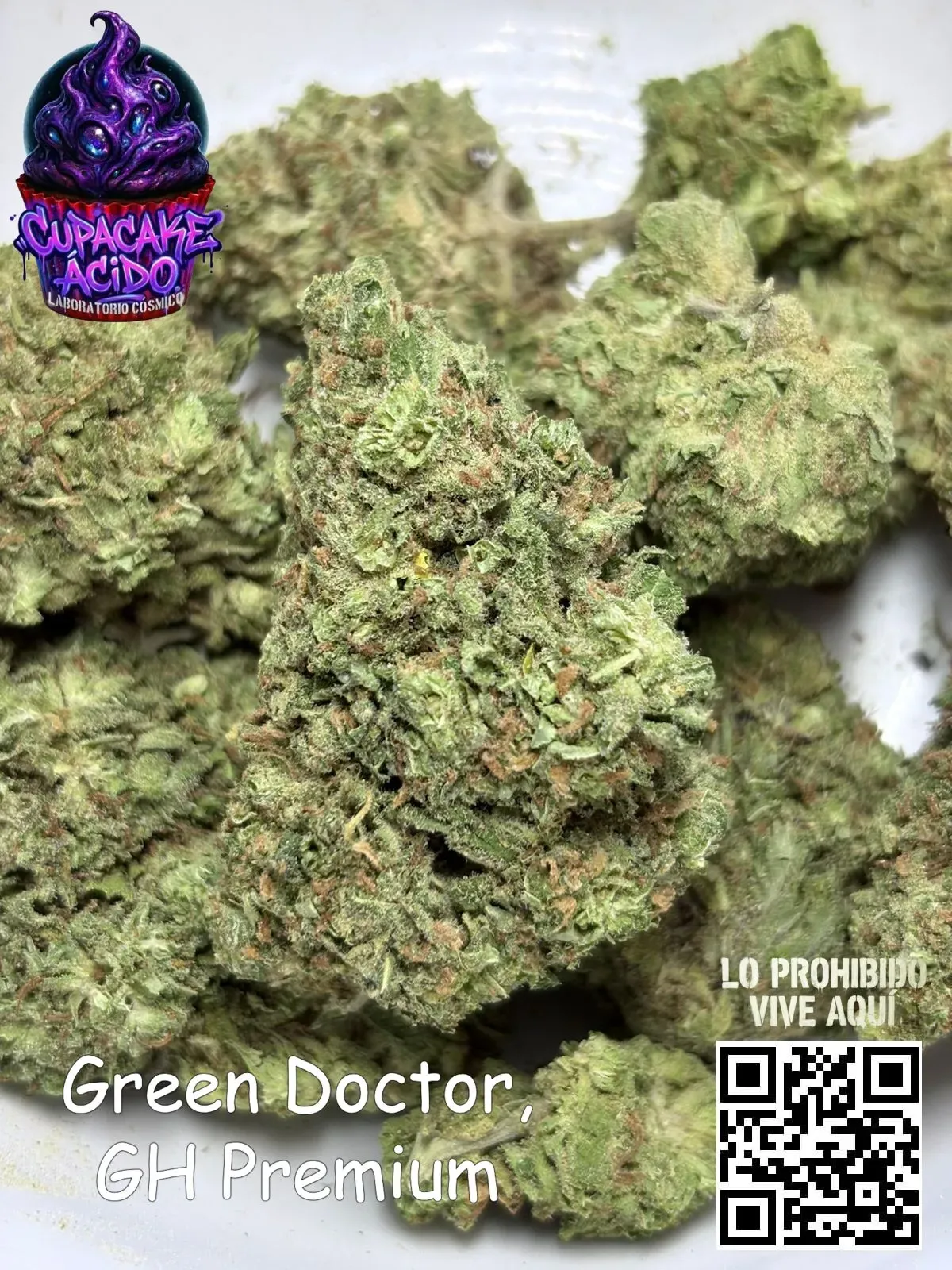 500 g Green Doctor GH Premium – La que te baja revoluciones sin quitarte el volante