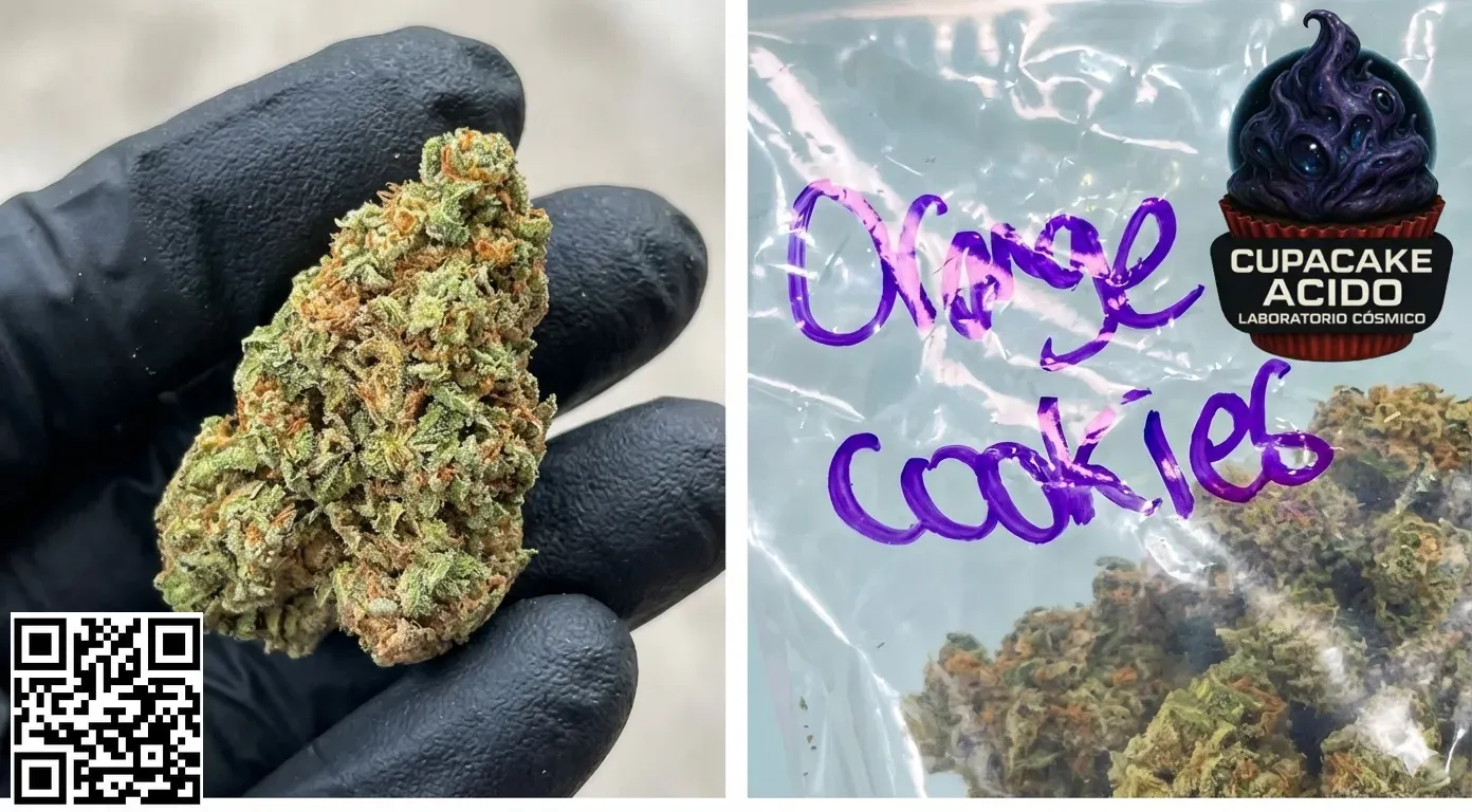 500 g Orange Cookies GH Premium – Media carga dulce y cítrica