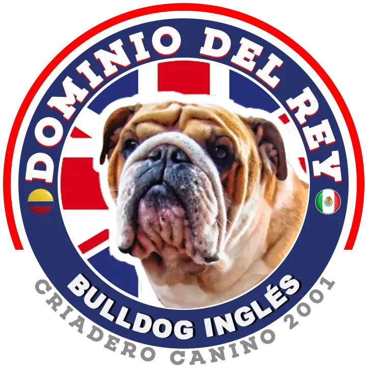 Dominio del rey Pet Shop