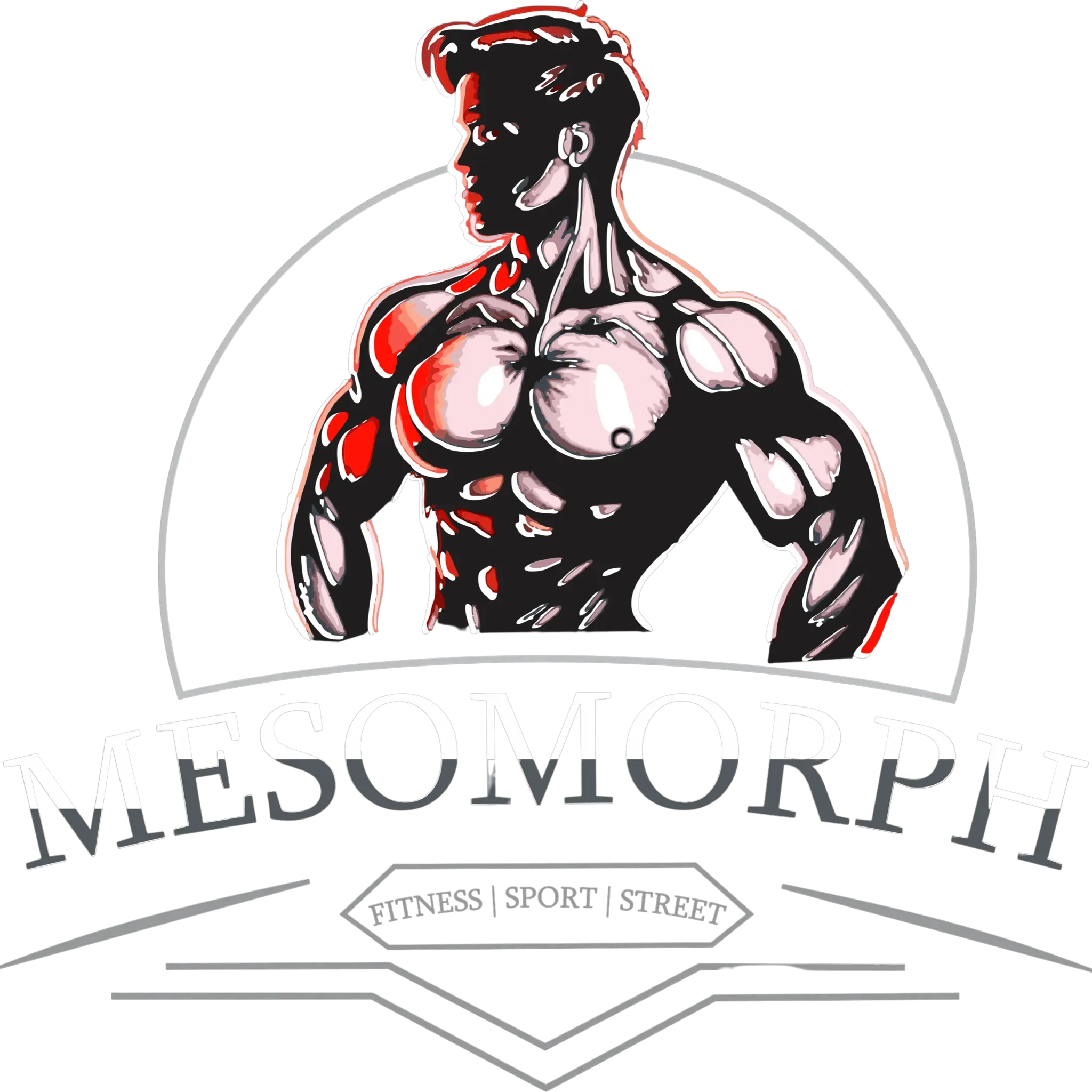 Mesomorph
