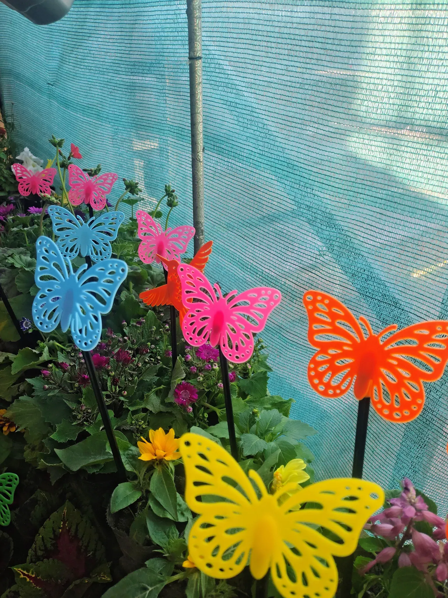 Esparcimiento Mental