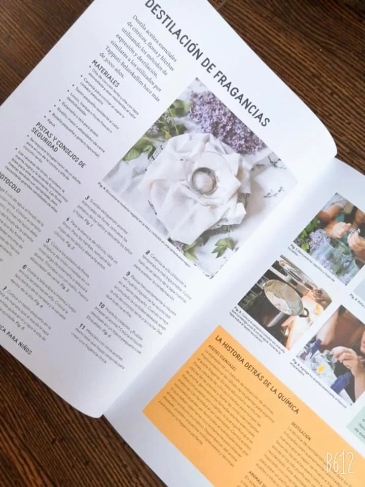 packet, menu, envelope