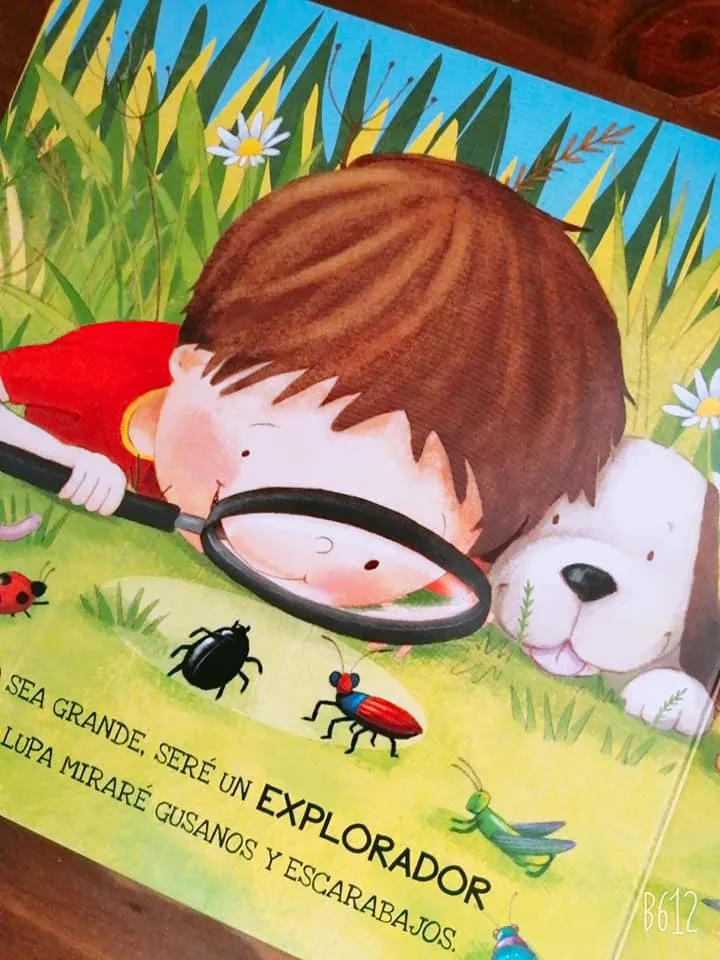 tray, packet, Crock_Pot