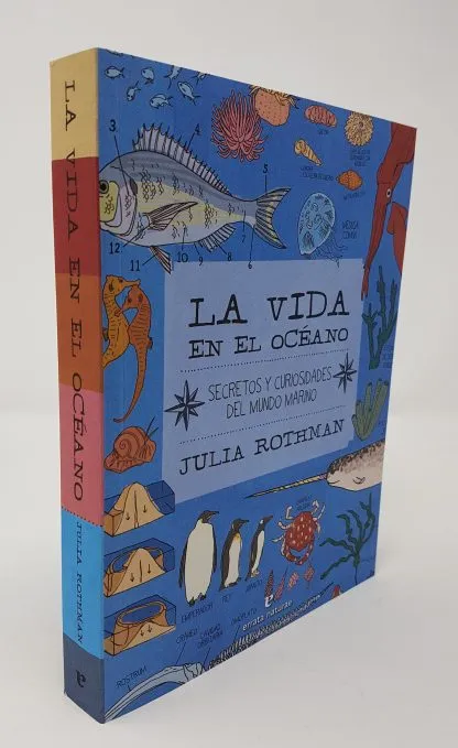 binder, carton, book_jacket