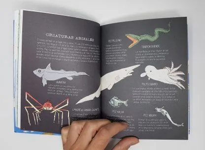 book_jacket, bath_towel, toilet_tissue