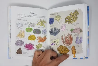 binder, book_jacket, handkerchief