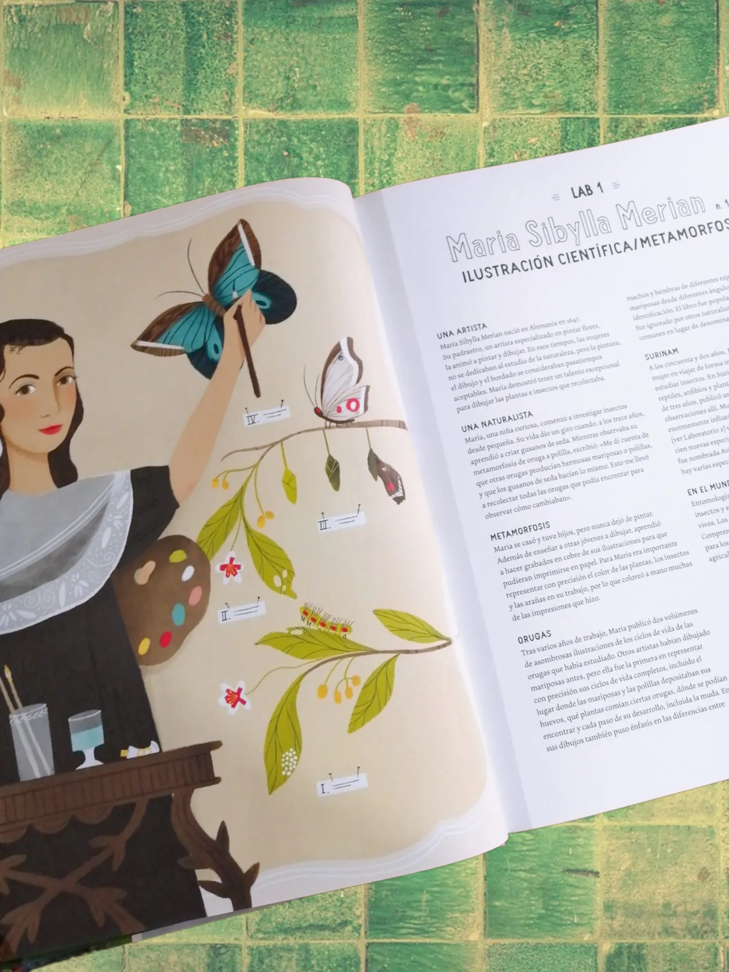 envelope, tray, book_jacket