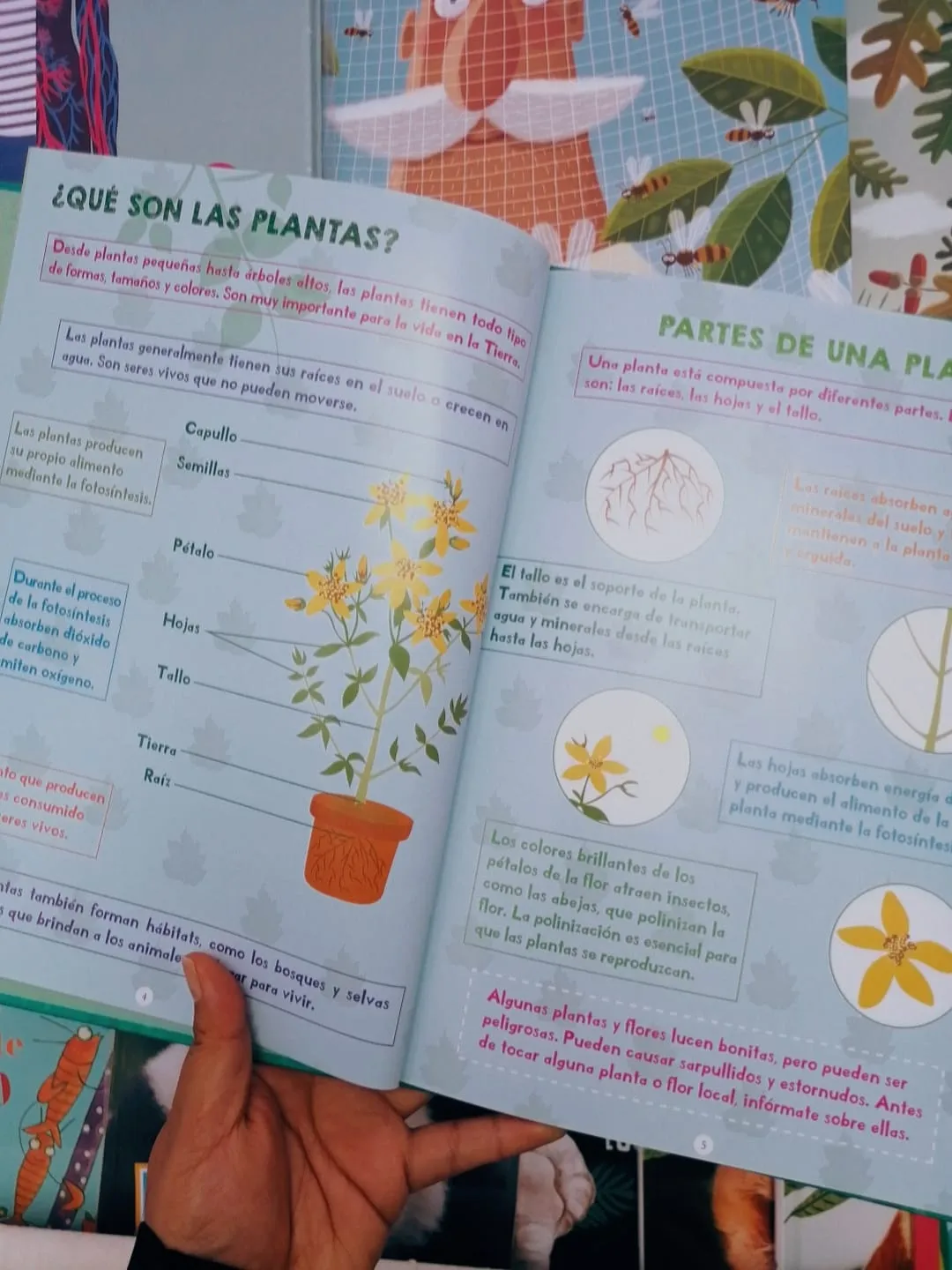 menu, envelope, packet