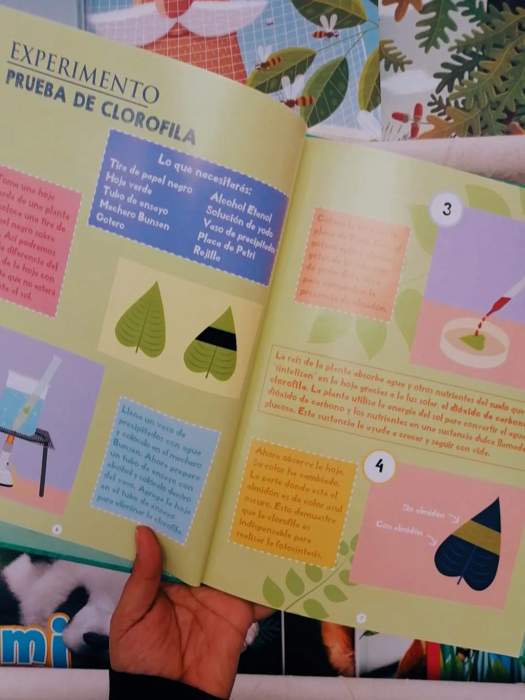 Band_Aid, envelope, diaper