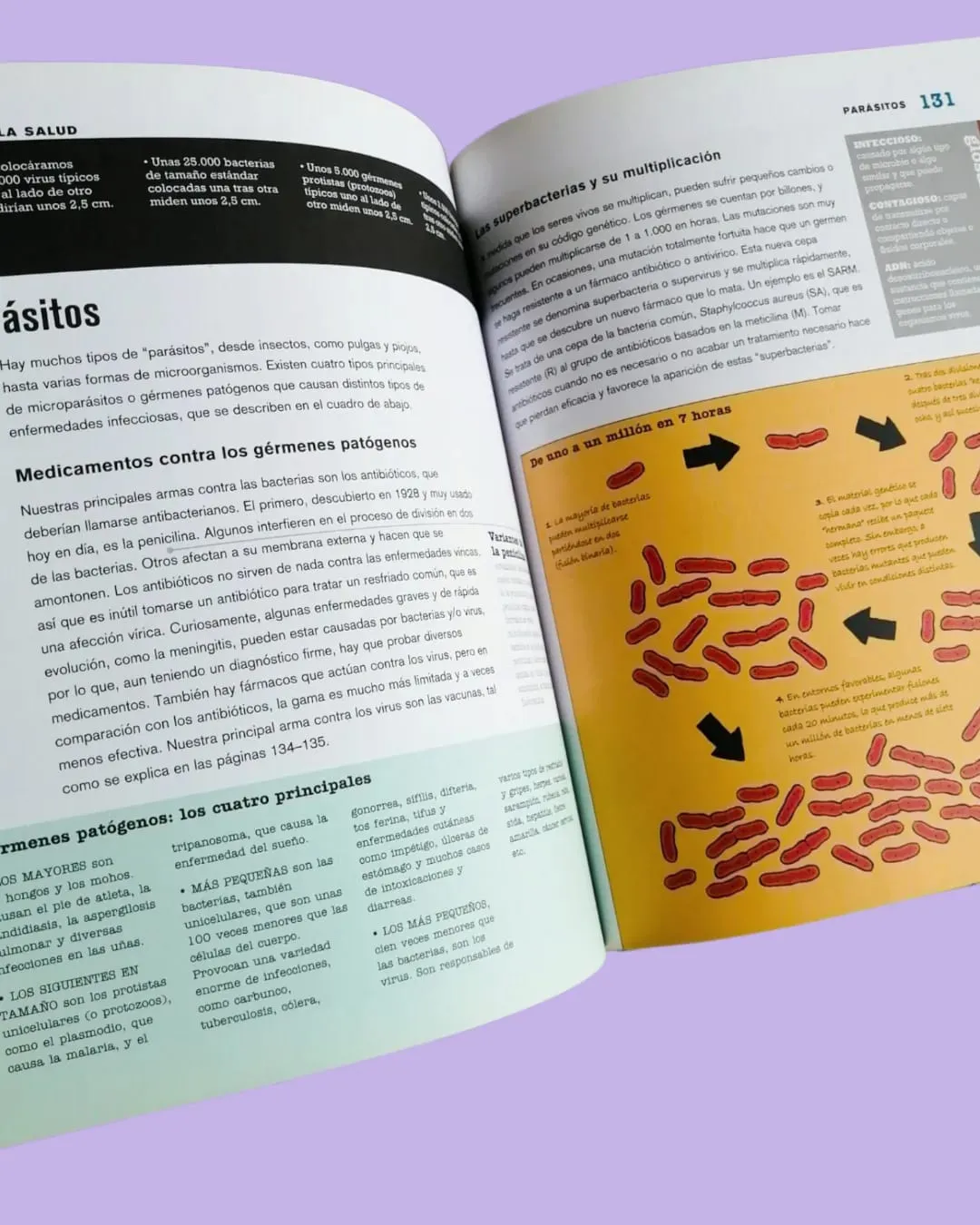 toilet_tissue, packet, paper_towel