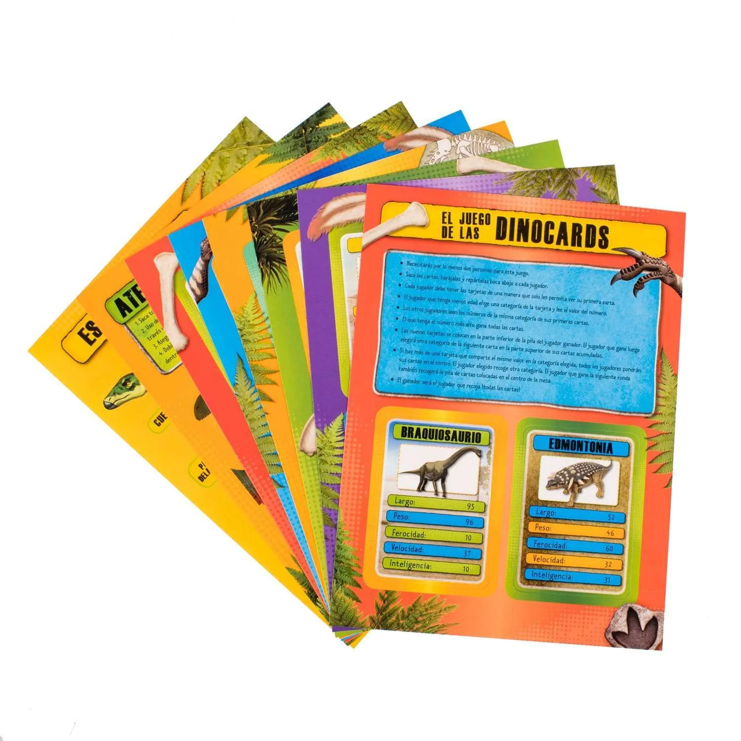 packet, envelope, binder