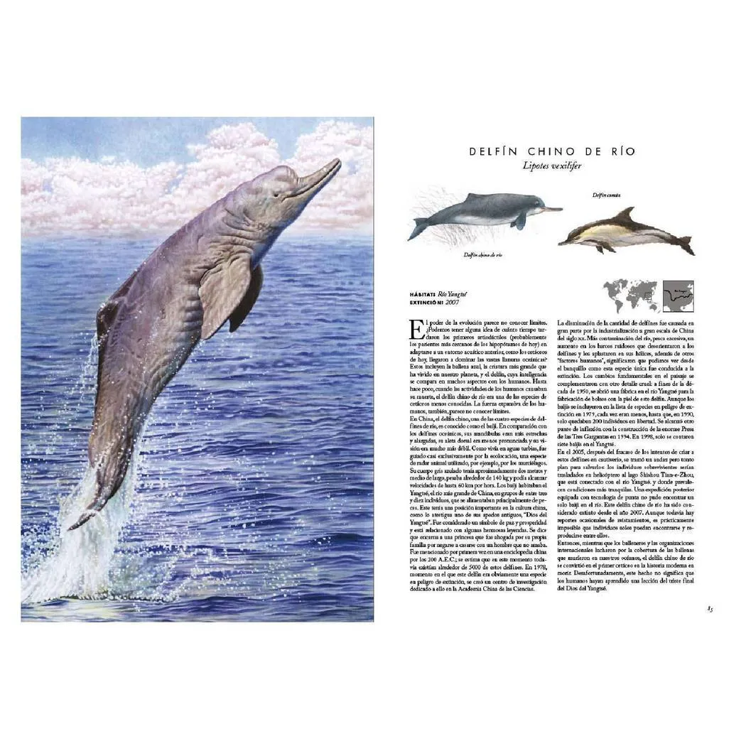 bittern, gar, web_site