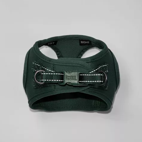 buckle, neck_brace, hair_slide